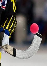 Спорт, Открытый турнир по хоккею с мячом "Кубок Кузбасса"