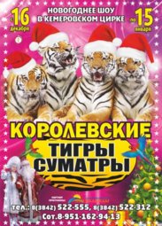 Цирк, «Королевские тигры Суматры» 